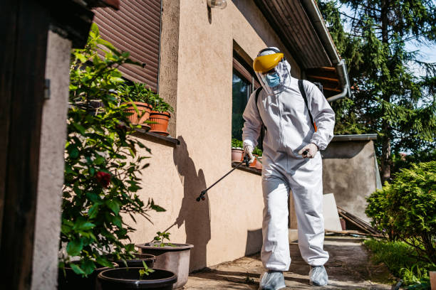 Best Local Pest Control Services  in Mono Vista, CA