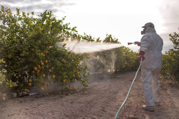 Best Wildlife Control Services  in Mono Vista, CA