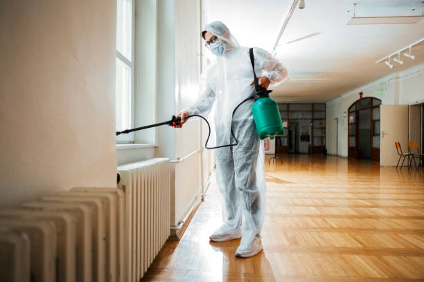 Best Affordable Pest Control Services  in Mono Vista, CA